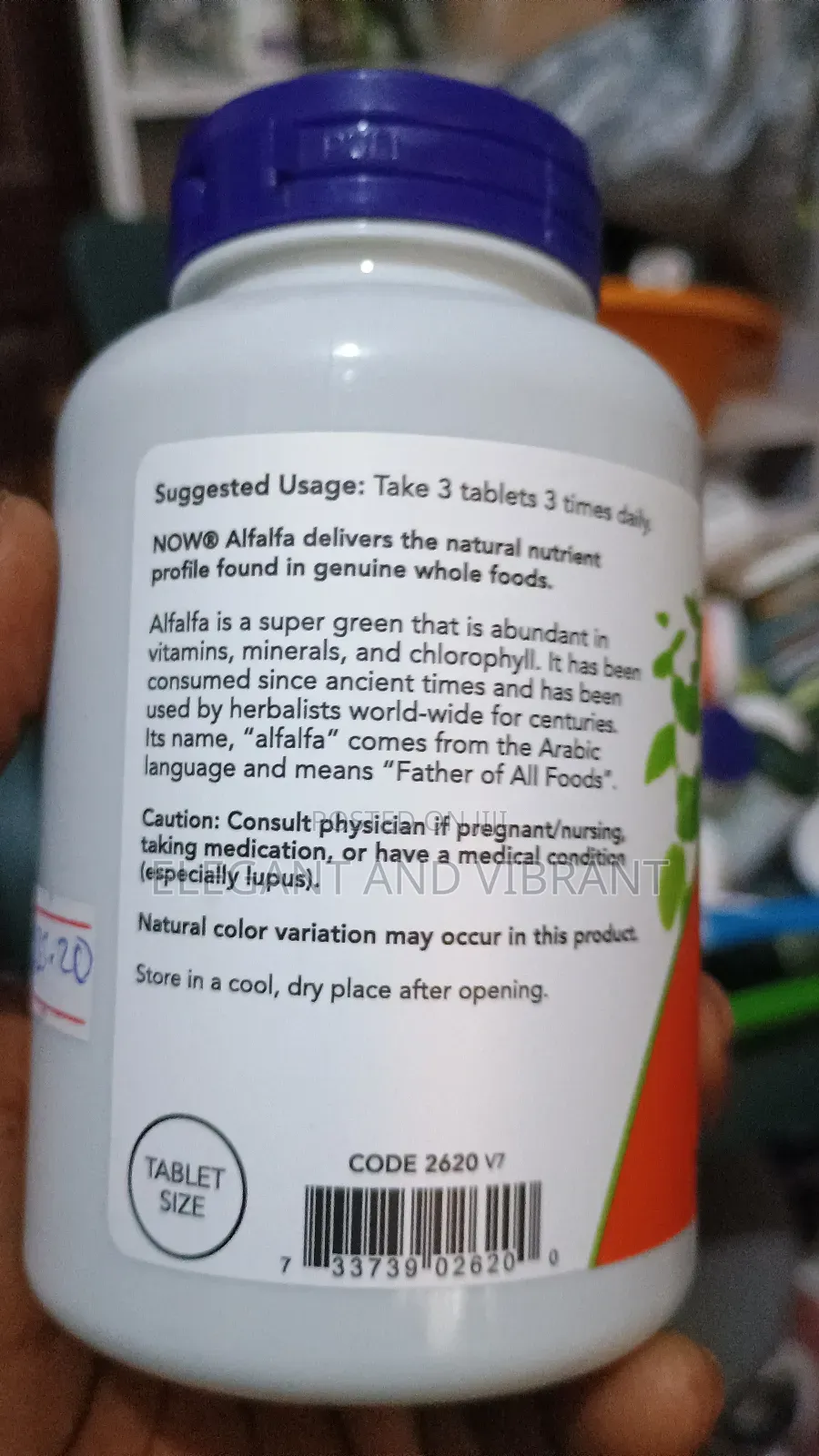 Now Alfalfa Supplements