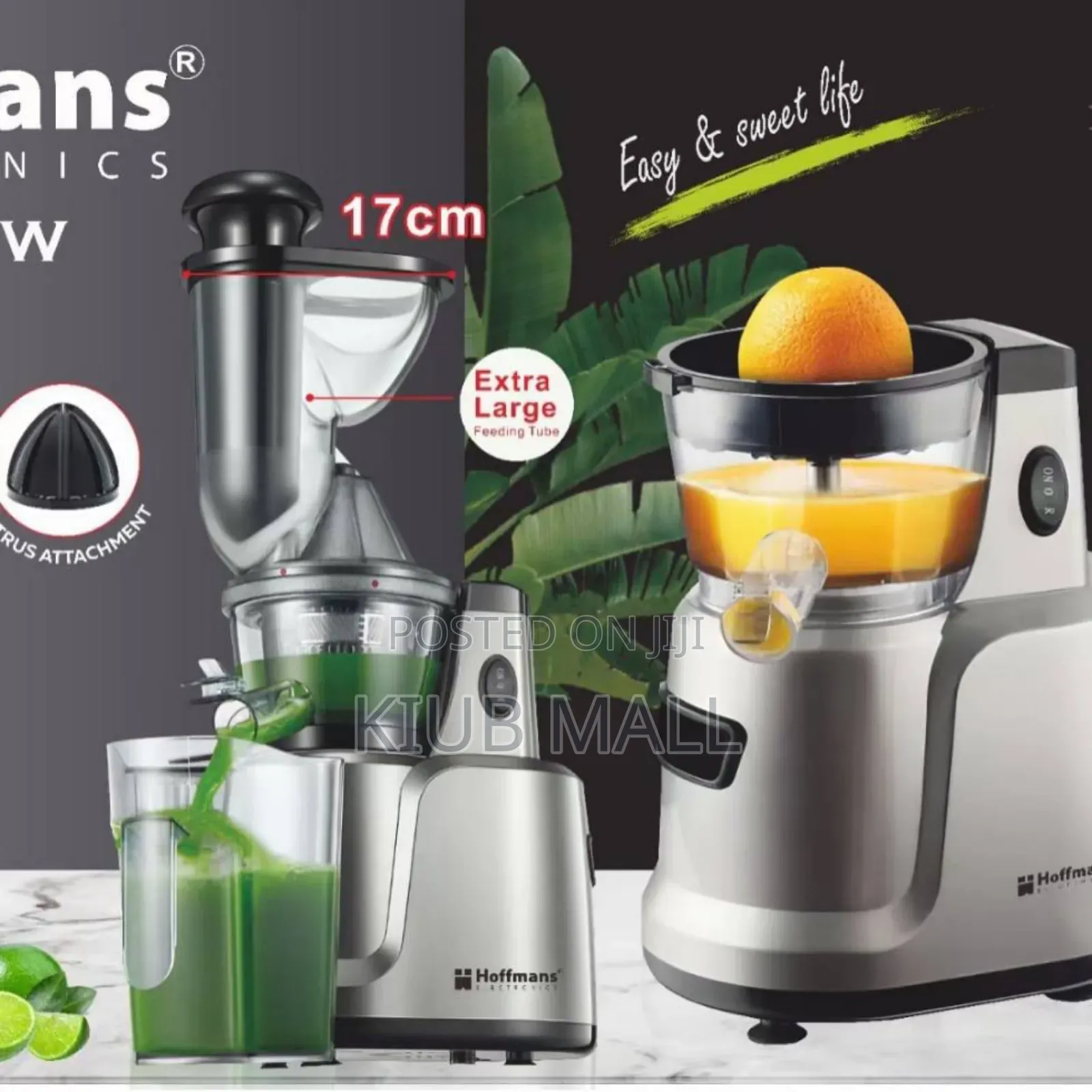 Vertical 2in 1 Hoffman Slow Juicer