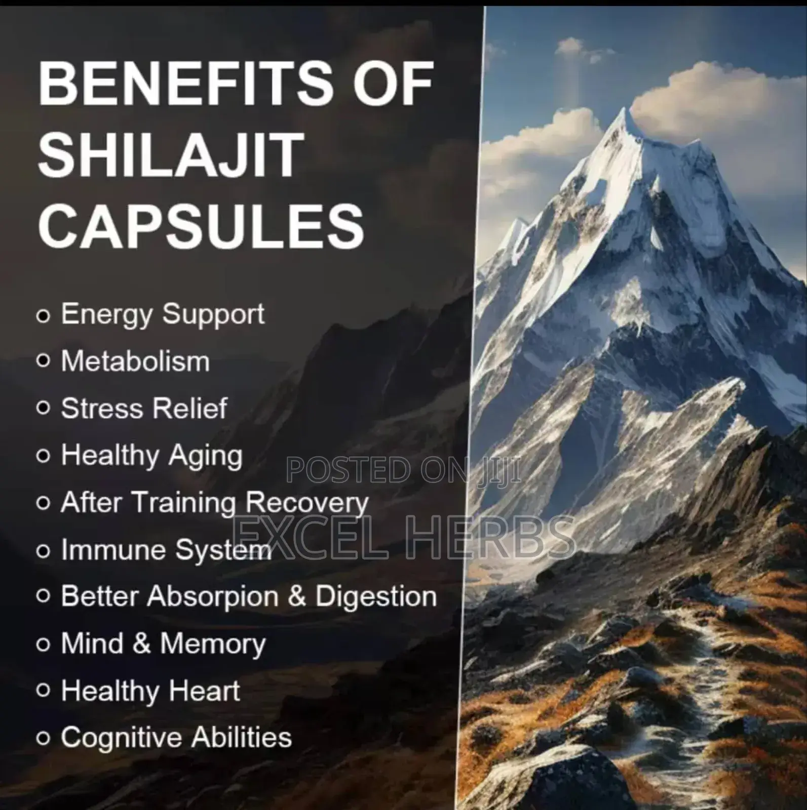 Beworths Pure Ginseng Shilajit Capsules High Nutritional