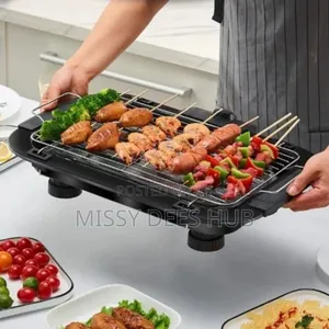 Electric Barbecue Grill