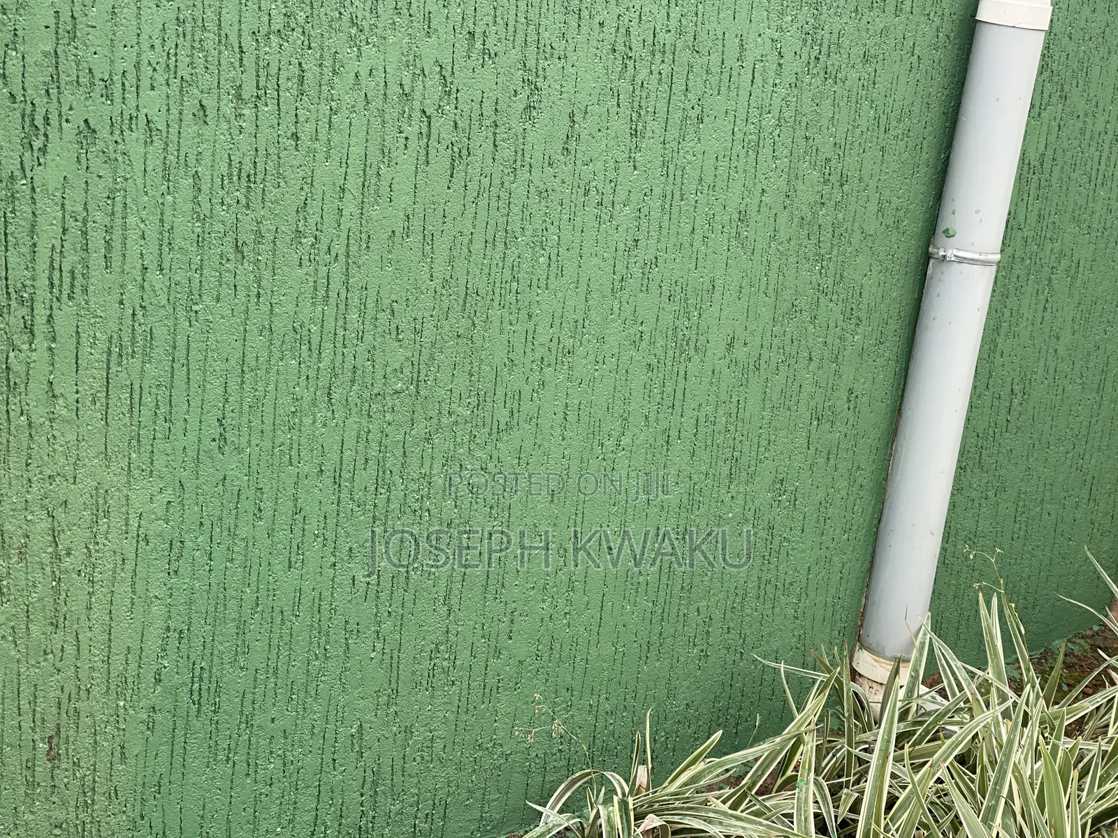 Graffiato Paint