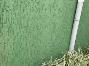 Graffiato Paint
