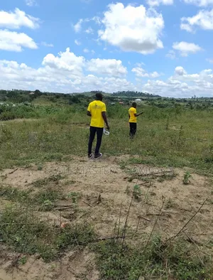 Purchase Land in an Area With Access to Building Materials