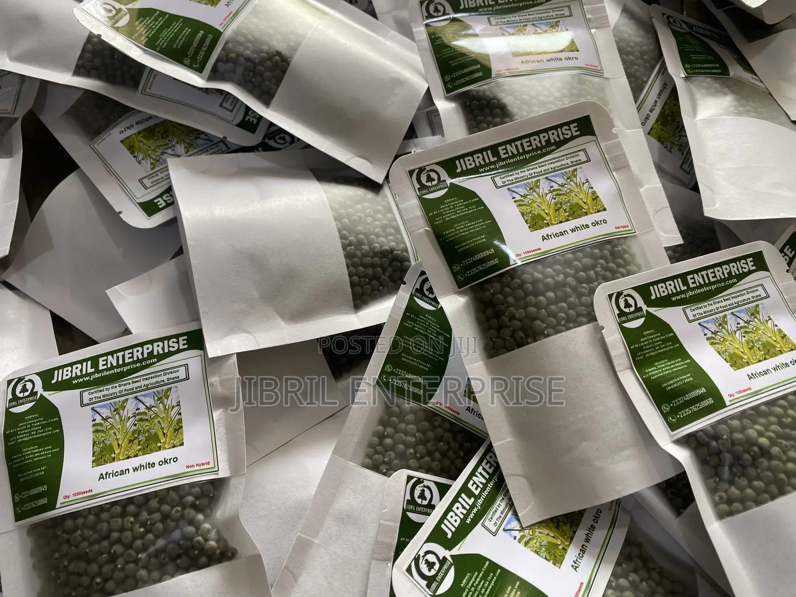 Ashanti Okro/White Ladies Finger, 45 Days Early Mature Okro Variety