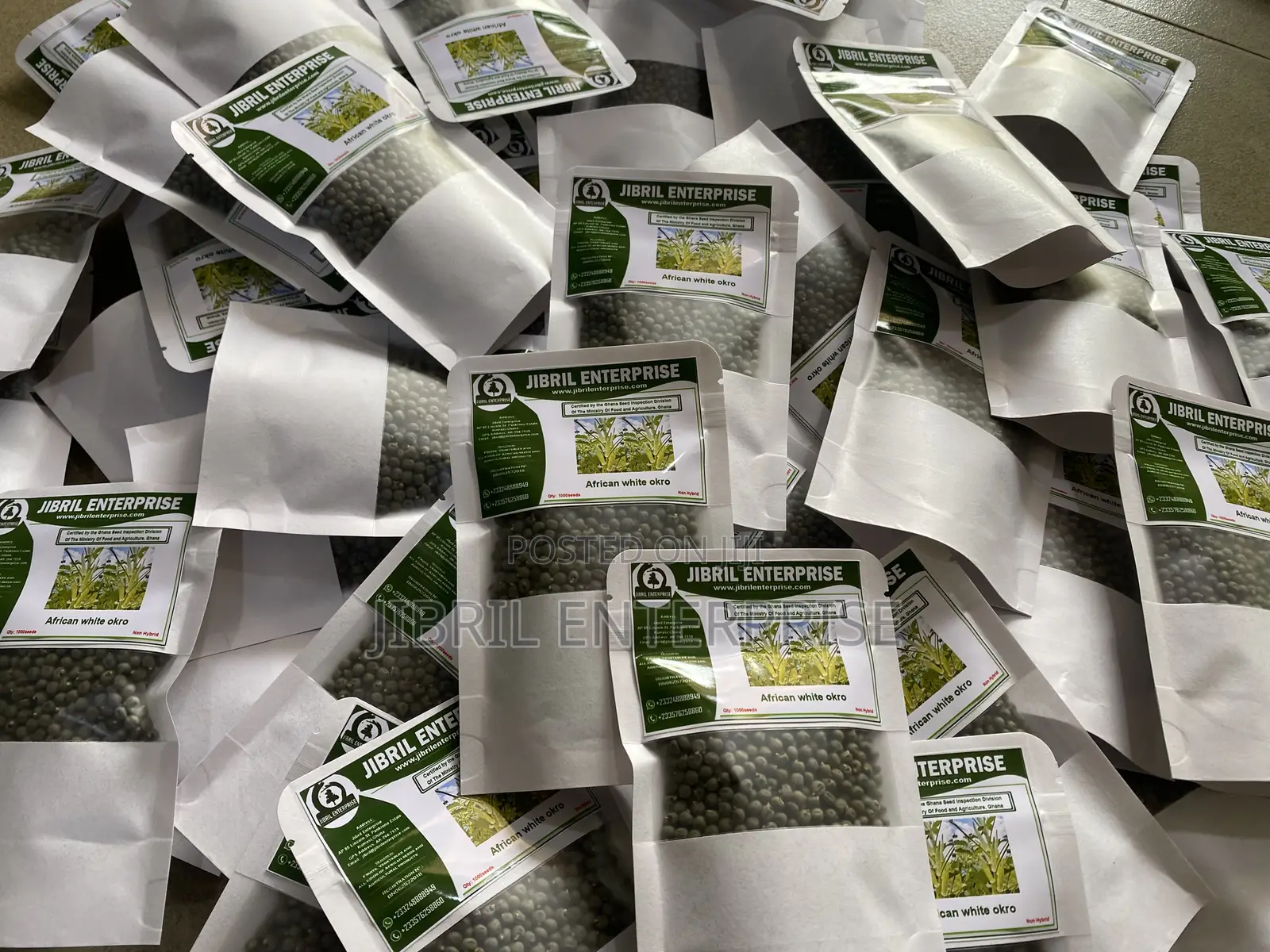 Ashanti Okro/White Ladies Finger, 45 Days Early Mature Okro Variety