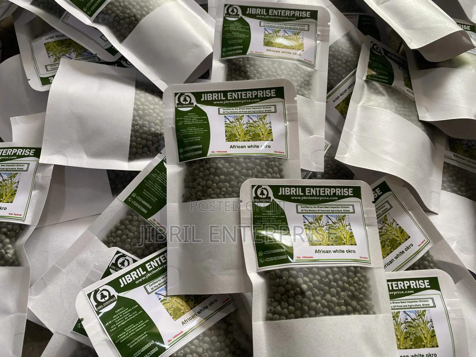 Ashanti Okro/White Ladies Finger, 45 Days Early Mature Okro Variety