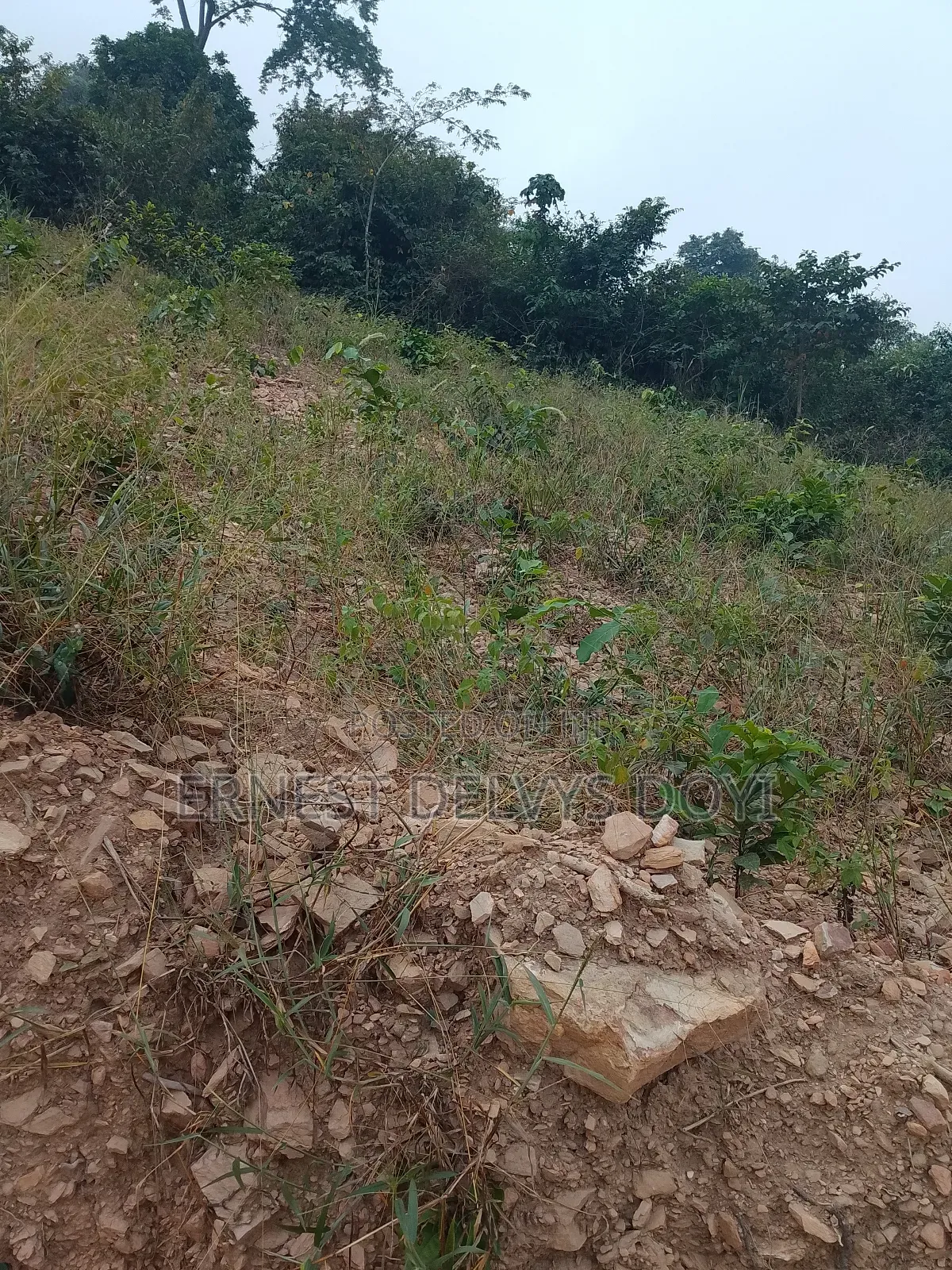 Lands for Sale at Kwabenya Katapor GHC 189,000 Per Plot