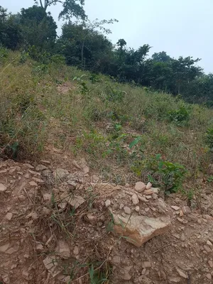 Lands for Sale at Kwabenya Katapor GHC 189,000 Per Plot