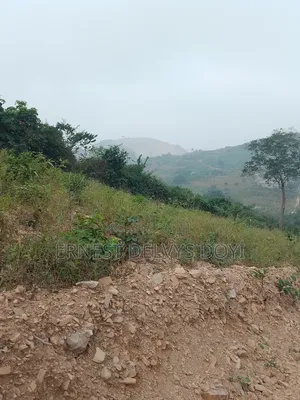 Lands for Sale at Kwabenya Katapor GHC 189,000 Per Plot