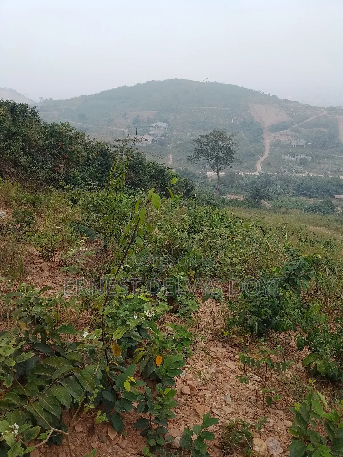Lands for Sale at Kwabenya Katapor GHC 189,000 Per Plot