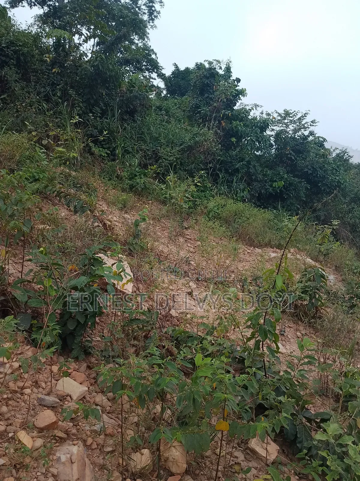 Lands for Sale at Kwabenya Katapor GHC 189,000 Per Plot