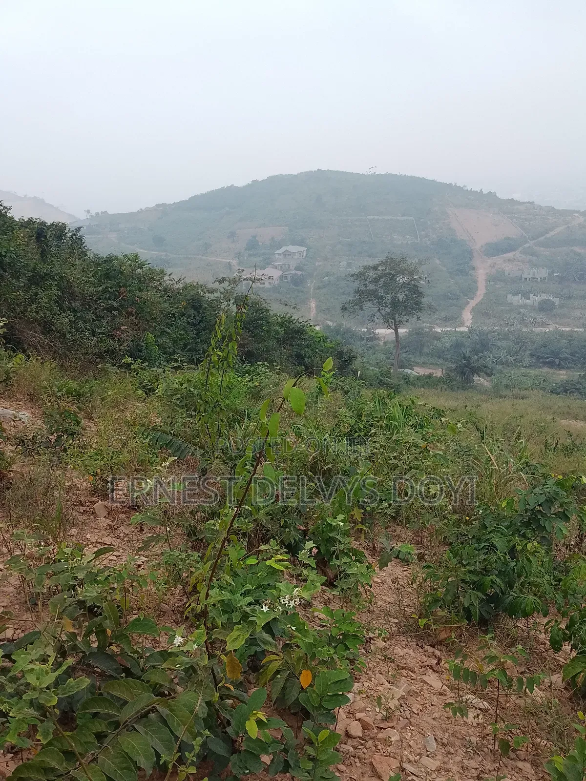 Lands for Sale at Kwabenya Katapor GHC 189,000 Per Plot