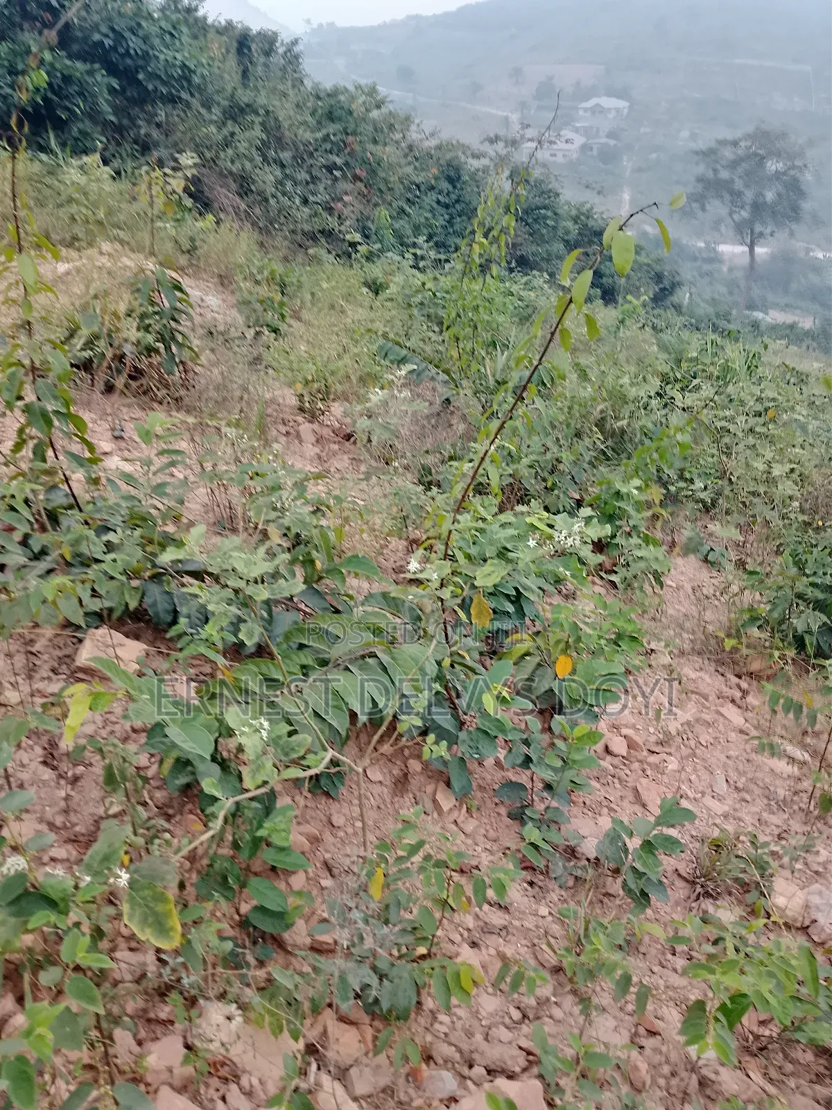 Lands for Sale at Kwabenya Katapor GHC 189,000 Per Plot