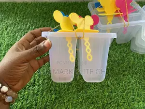 6pcs Ice Cream Mould