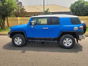 Toyota FJ Cruiser 2010 Blue