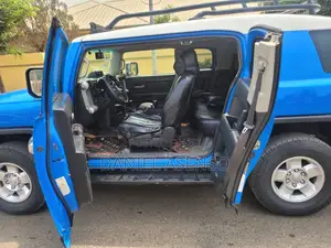 Toyota FJ Cruiser 2010 Blue