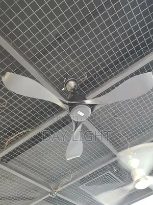 Luxurious Black Remote Control Ceiling Fan.
