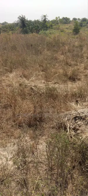 Take Your Future Up With Land Ownership From Estate Masters