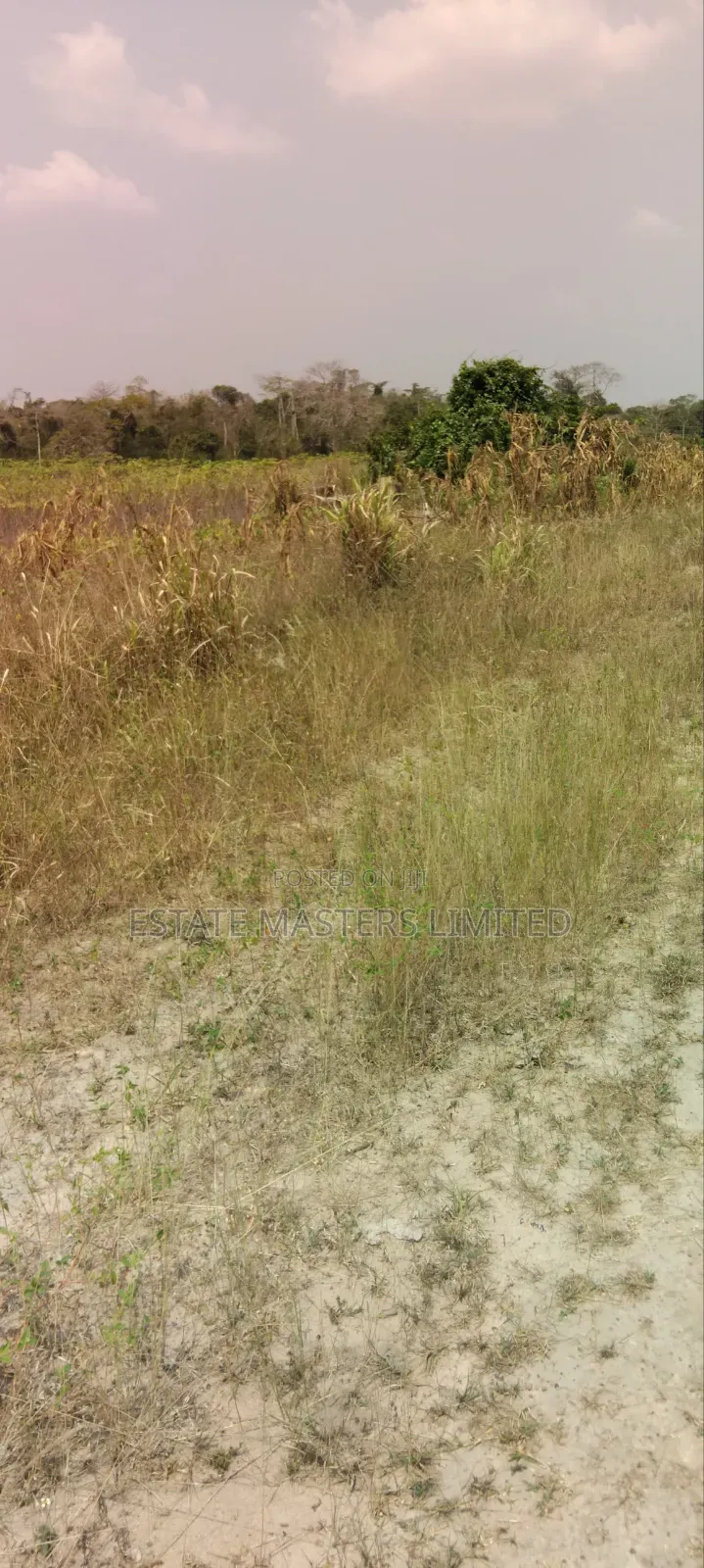 Take Your Future Up With Land Ownership From Estate Masters