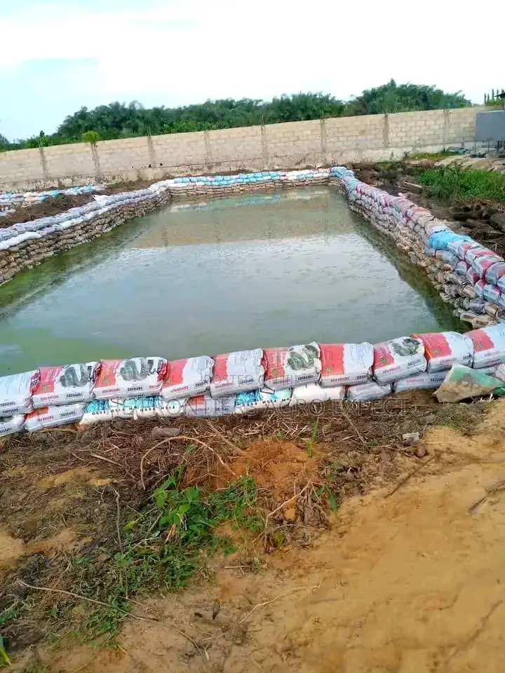 Tilapia Earthen Pond Construction