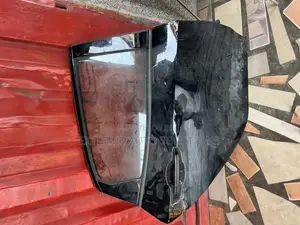 Honda Civic 2020 Hatch Back Door
