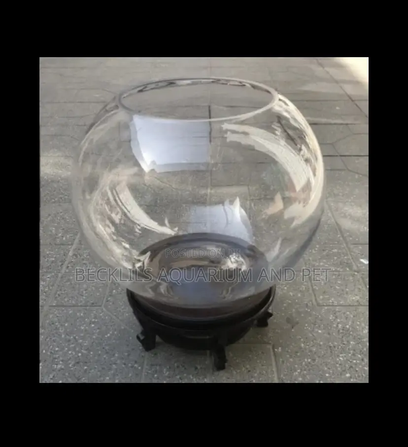 15 Liters Fish Bowl Available In Stock