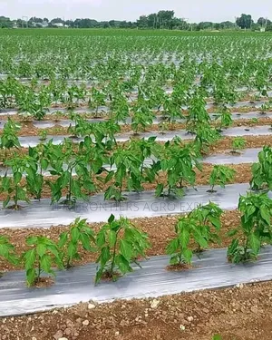 Solar Power and Irrigation Installation