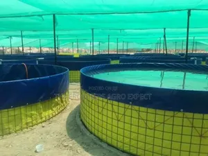 PVC Biofloc Mobile Fish Pond
