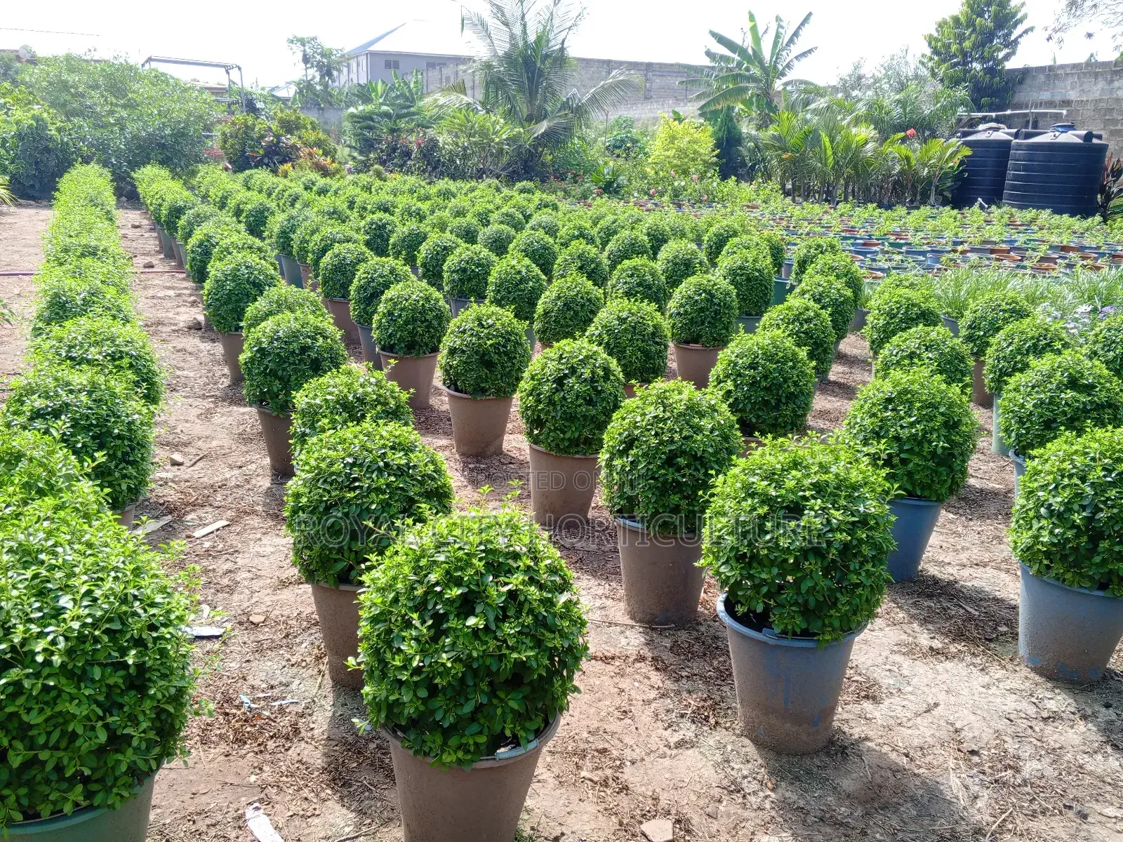 Landscaping and Garden Services