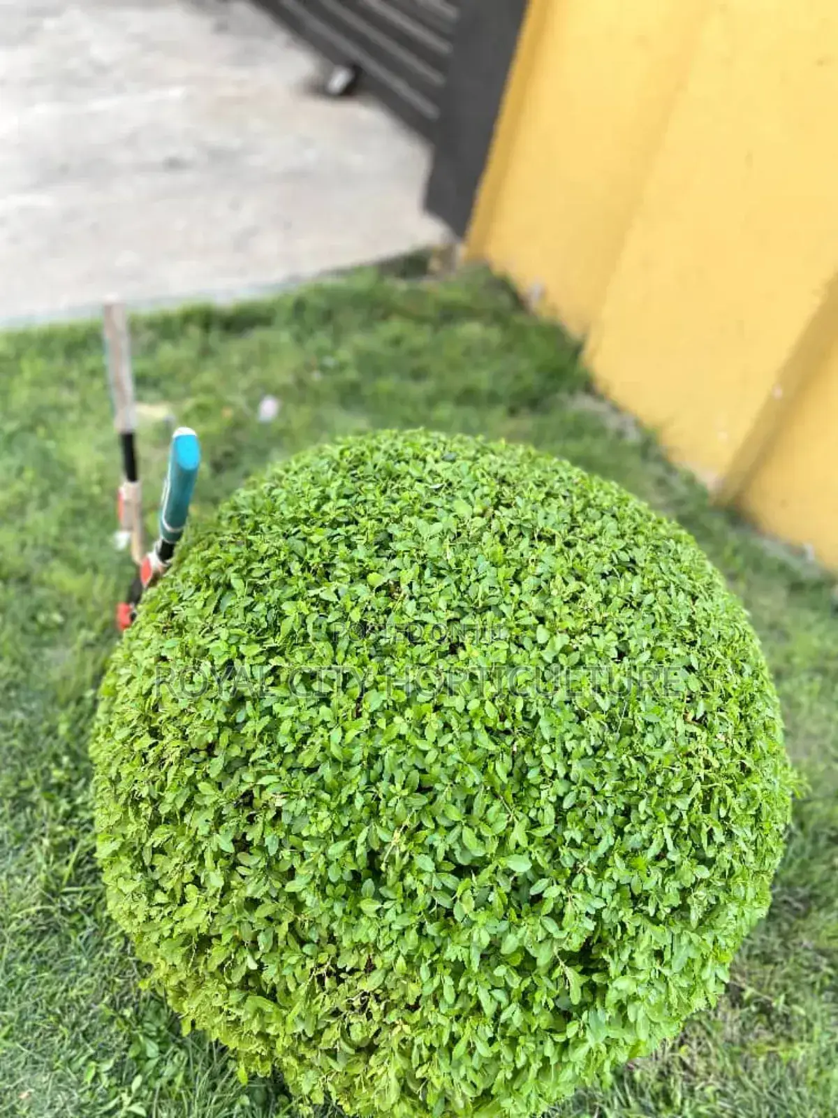 Landscaping and Garden Services