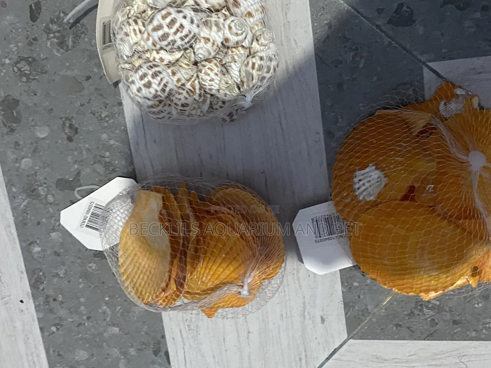 Shells for Aquarium