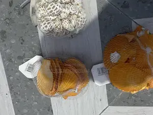 Shells for Aquarium