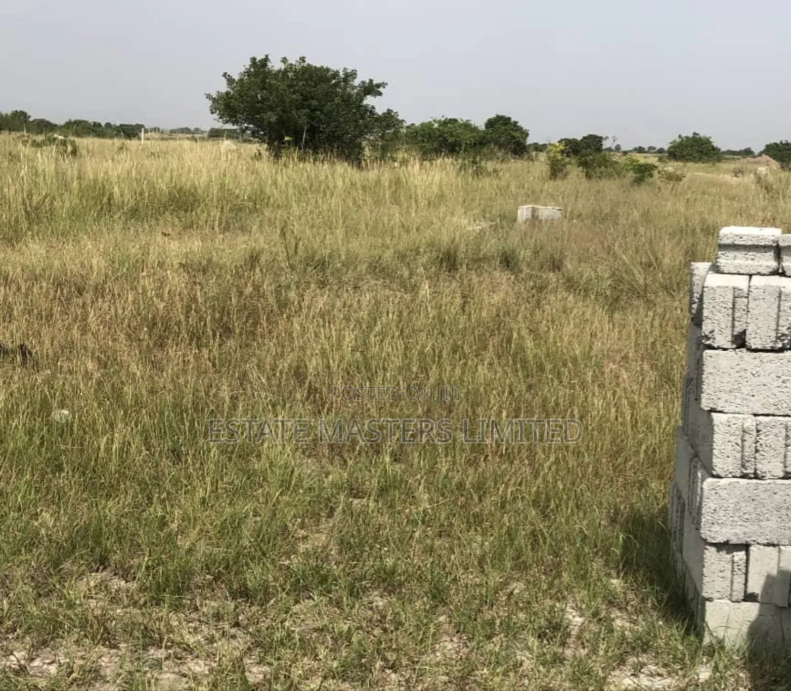 Build Your Serene Family Homes on Acres of Plots at Tsopoli