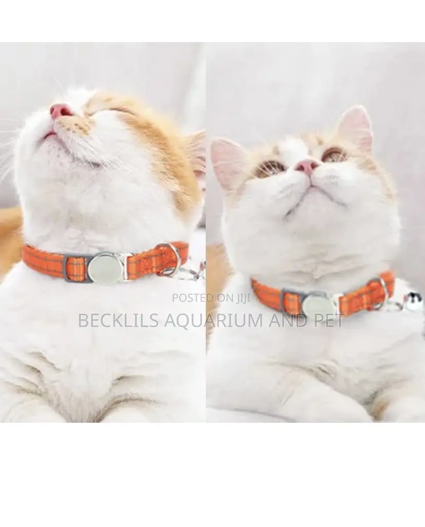 Dog and Cat Collars With Bells