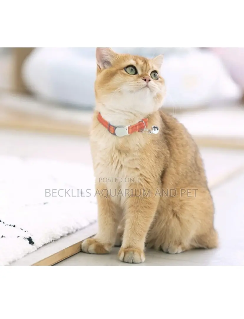 Dog and Cat Collars With Bells