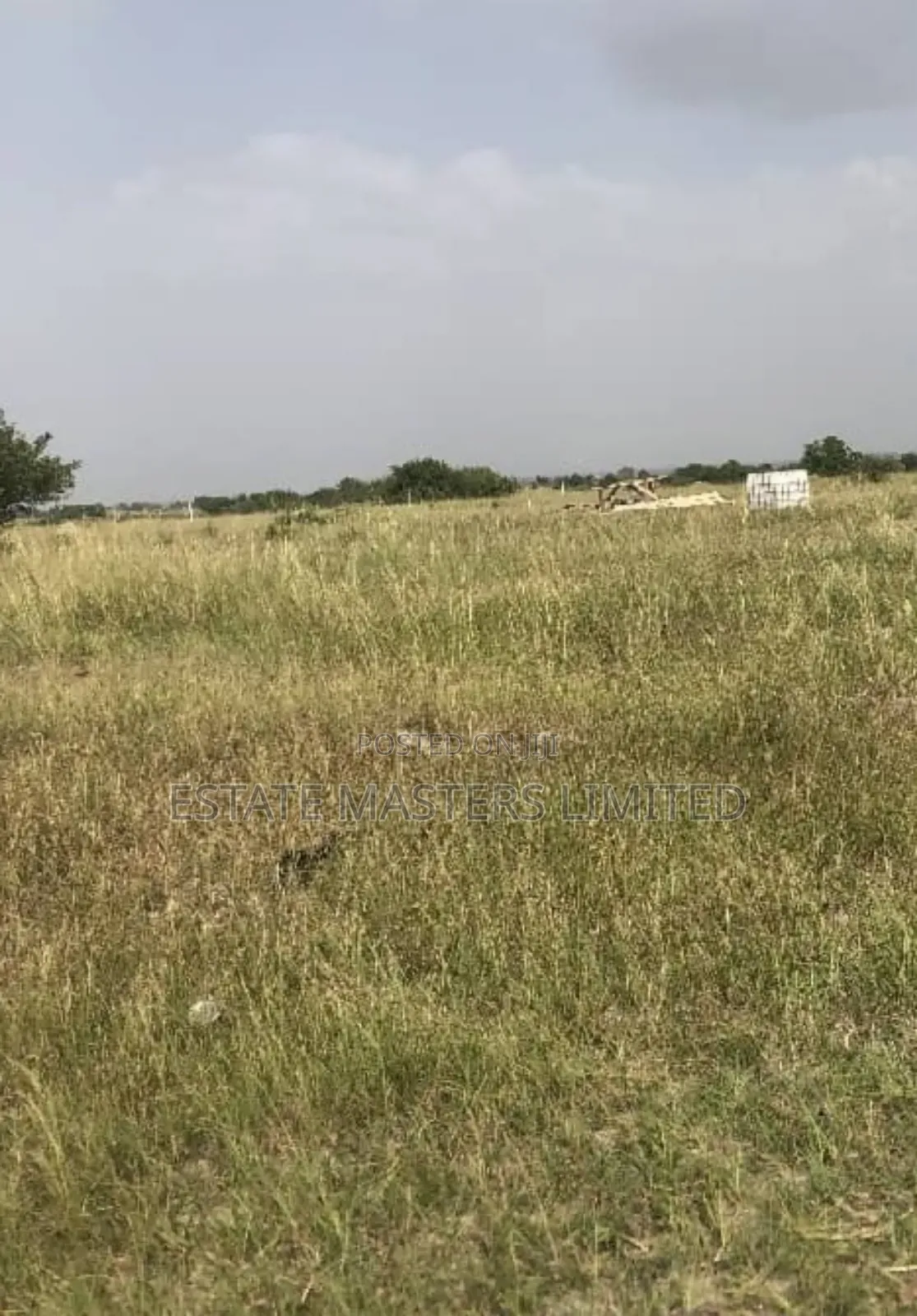 Immaculate and Elevated Estate Lands at an Attractive Area