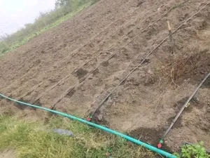 Irrigation and Solar Installer