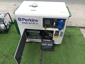 Perkins Strong White Generator Generator 13000w Auto Start