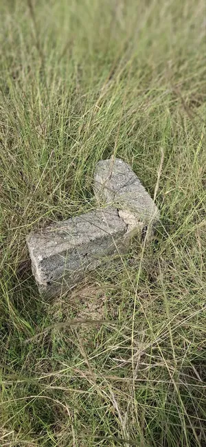 2 Plots for Sale at Shai Hills