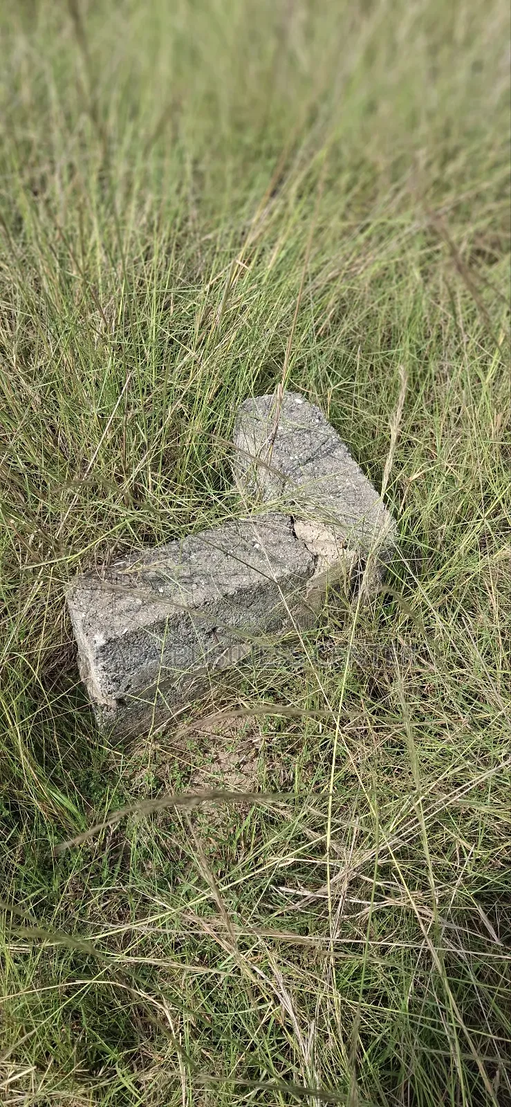 2 Plots for Sale at Shai Hills