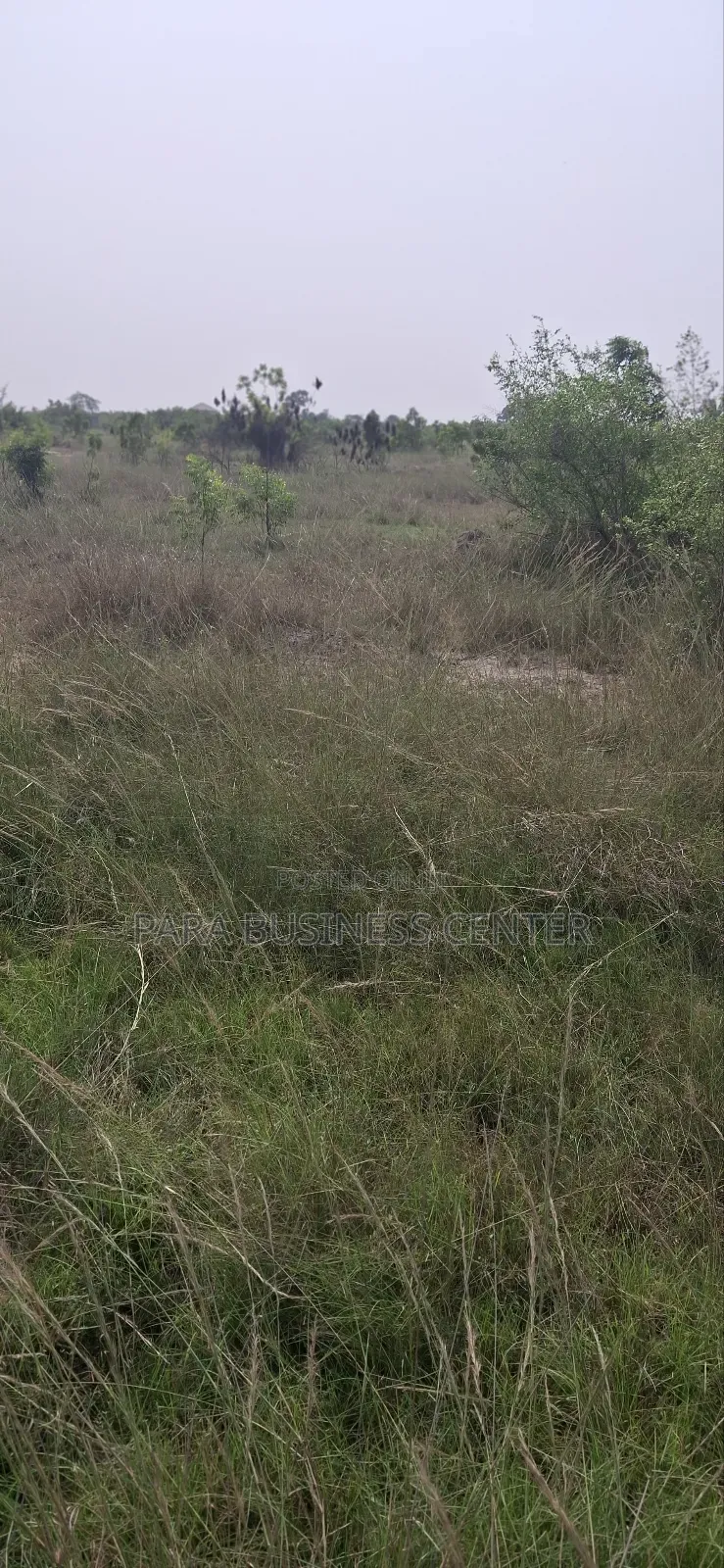 2 Plots for Sale at Shai Hills