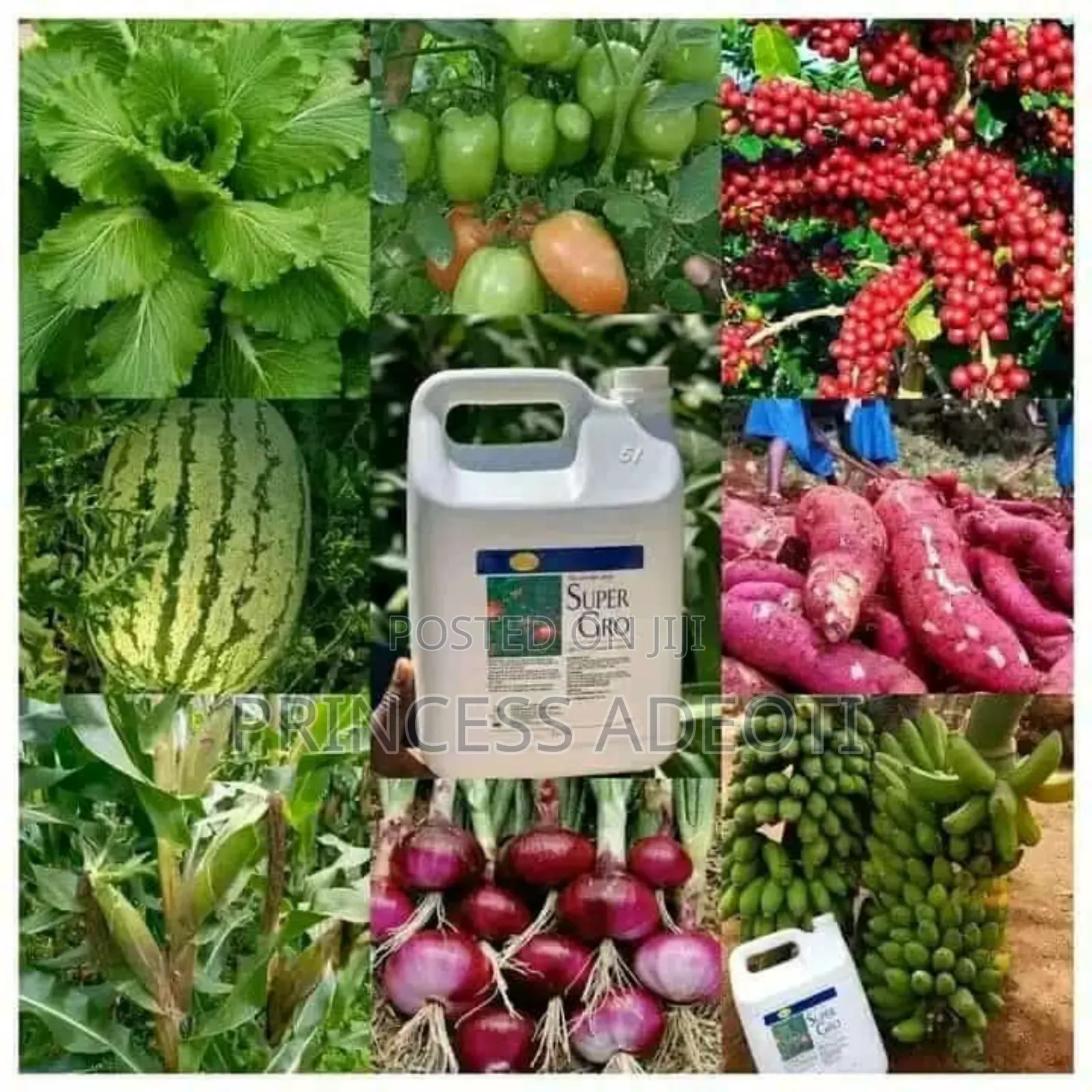 Organic Fertilizer Super Gro