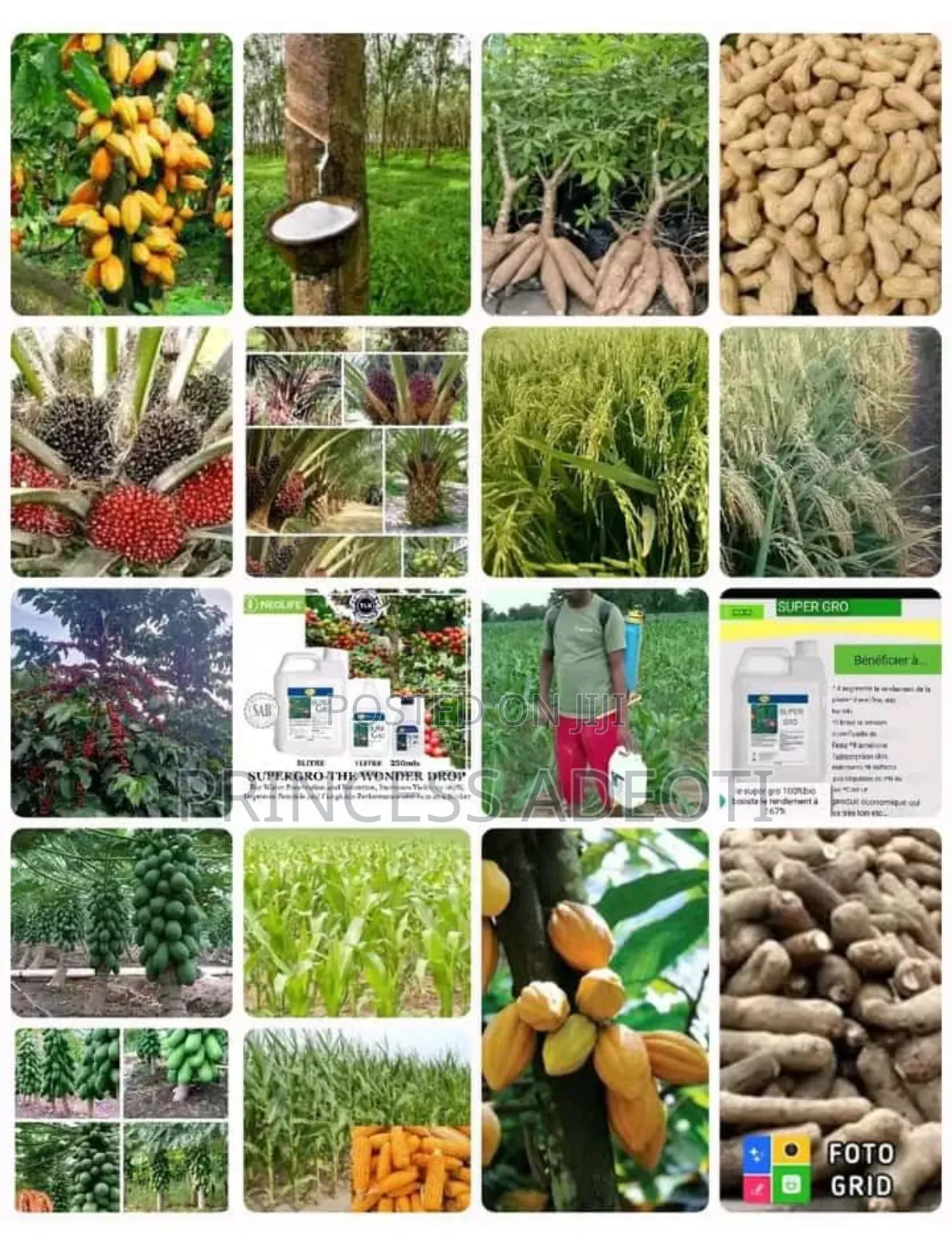 Organic Fertilizer Super Gro