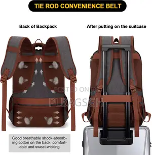 Khaki Multi Fashionable Backpack at Plbagsgh