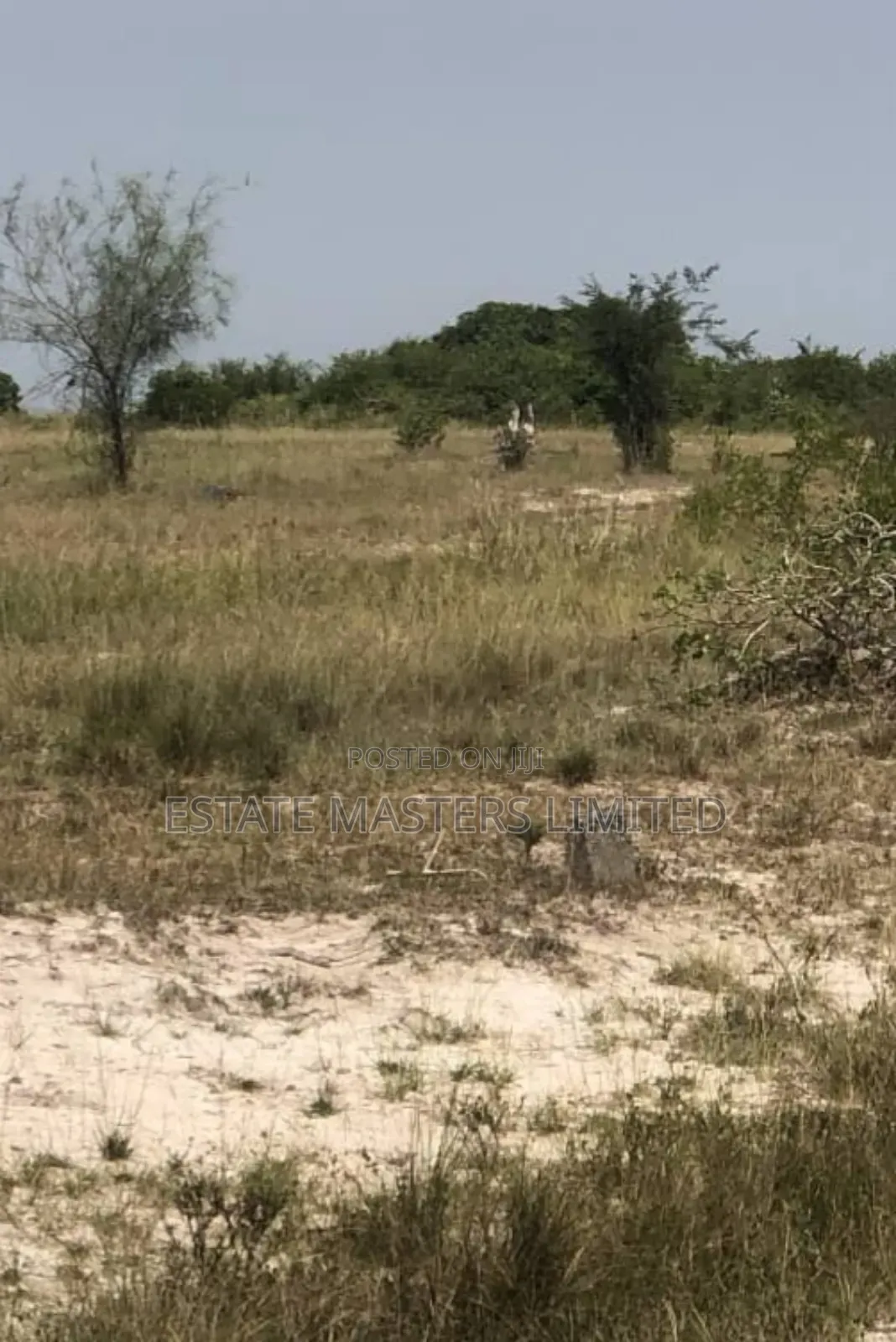 High Grade Fully Demarcated and Designed Estate Lands