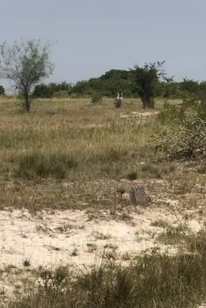 High Grade Fully Demarcated and Designed Estate Lands