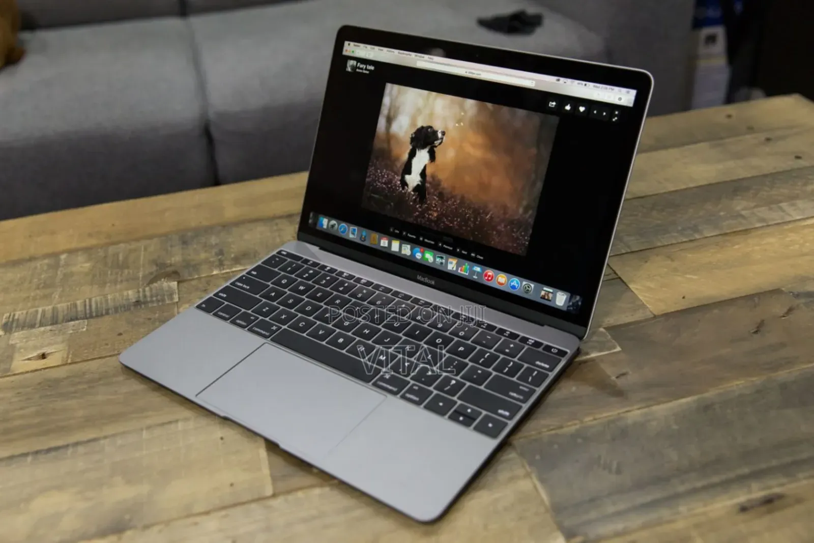 Laptop 8GB Intel Core I5 SSD 256GB
