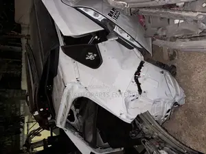 TOYOTA RAV4 2019-2021 Back Cut
