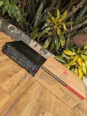 Professional Yagabo Karaoke Amplifier