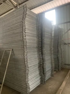 Scaffold/Scaff/ Scaffolding (Building Material Construction)